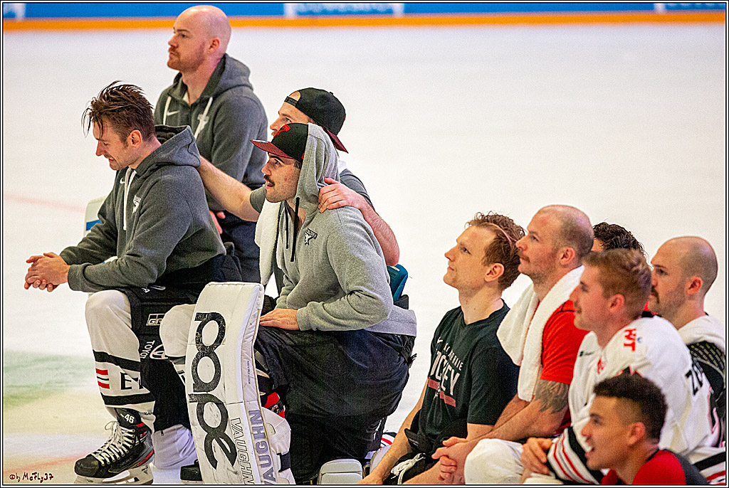 DEL; Duesseldorfer EG - Koelner Haie; Duesseldorf, 29.11.2019